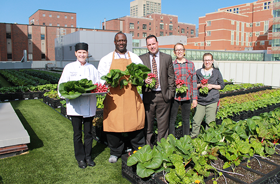 Boston Medical Center rooftop garden