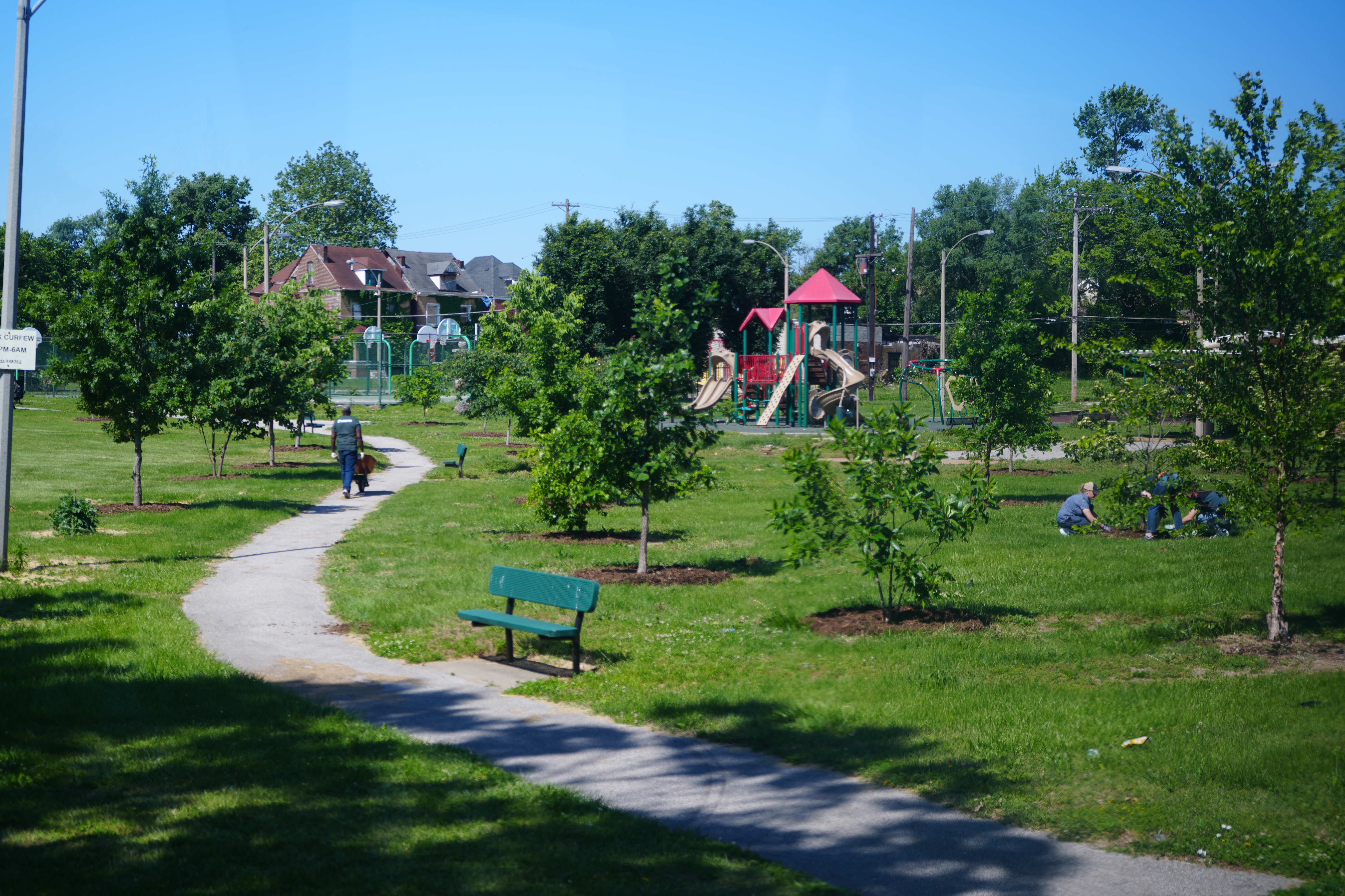 Tree planting in Becker Park