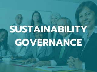 Sustainability governance