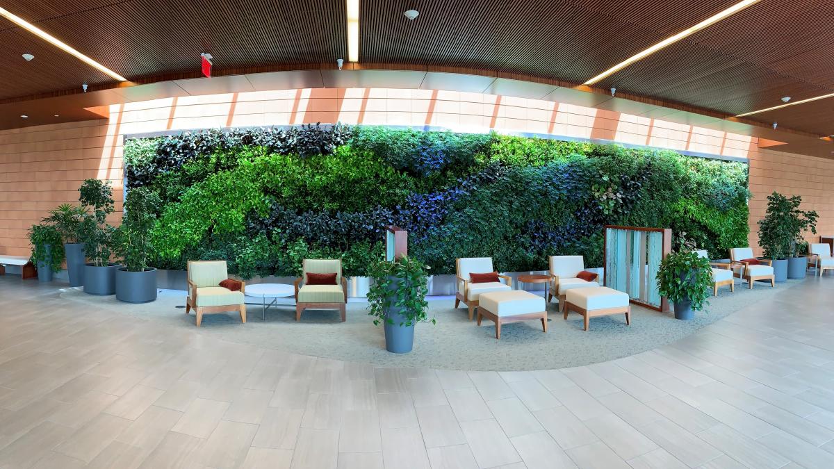 Mayo Clinic Living Wall