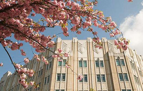 Harborview Medical Center