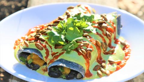 Charred butternut squash enchiladas with black beans and kale