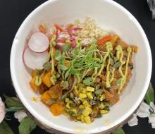 Jackfruit barbacoa