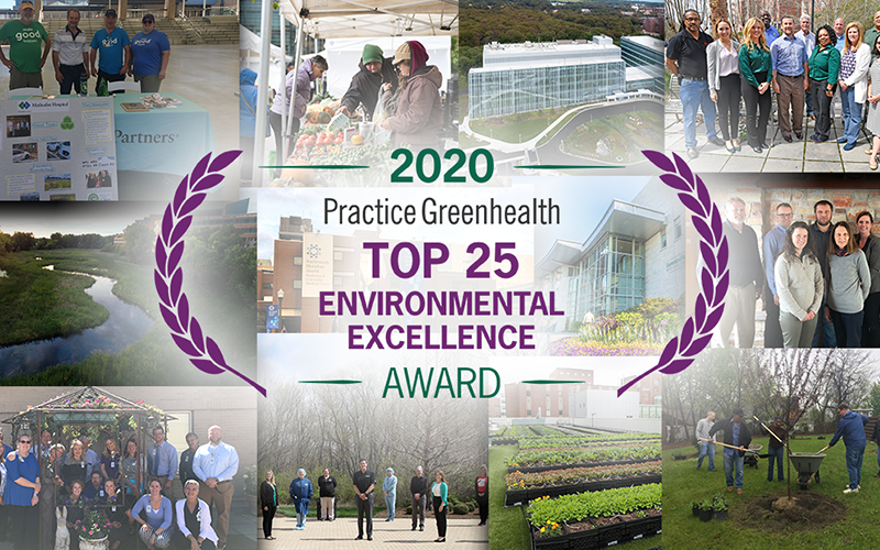 Top 25 sustainable hospitals